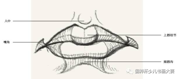 嘴部结构