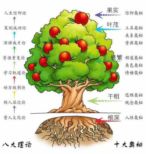 倒过来爱的功能教育树状结构图