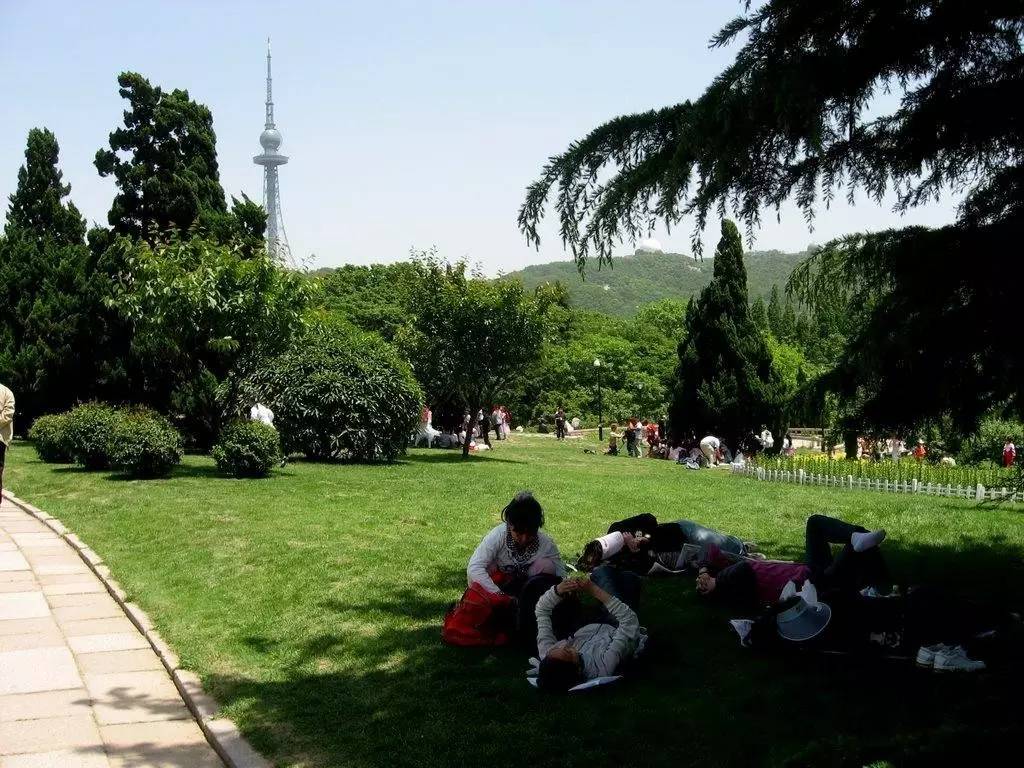 另外,索道的湛山寺站点就位于青岛世园会太平山中央