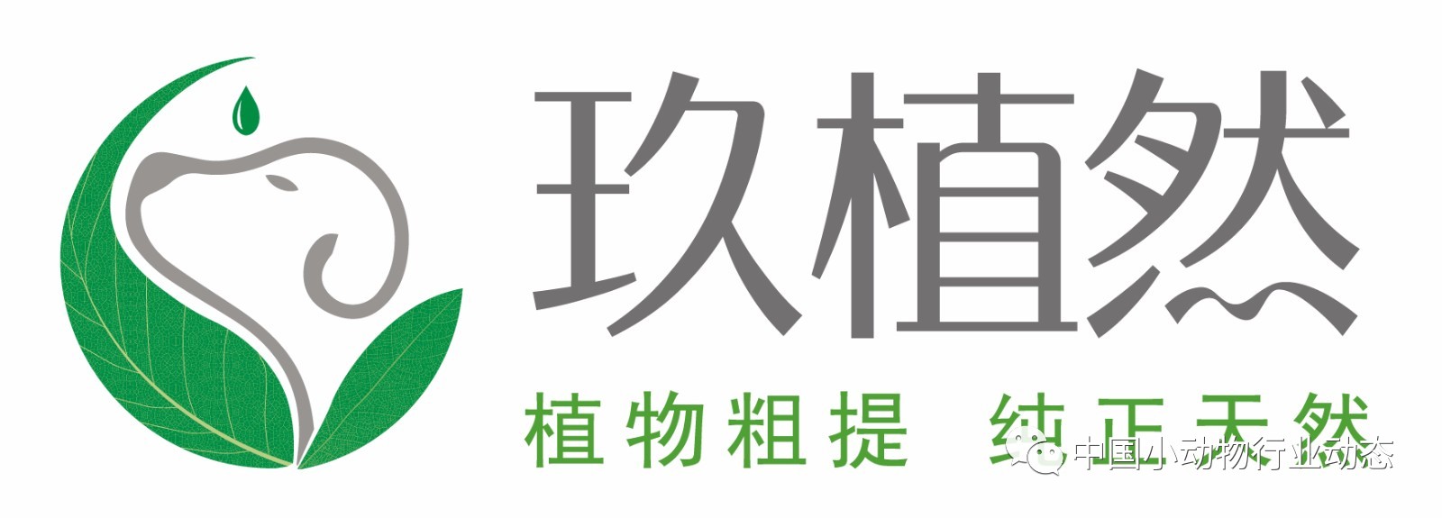 国内重量级兽药企业纷纷进入宠物市场(图2)