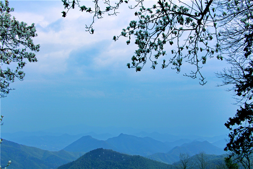 清凉莫干山,中国四大避暑胜地之一