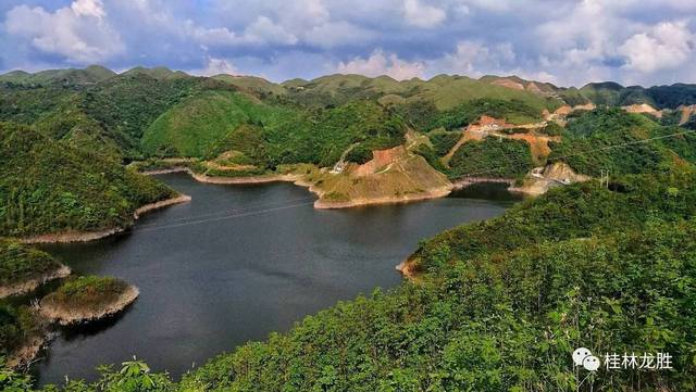 广西龙胜小南山:杜鹃花开遍地红