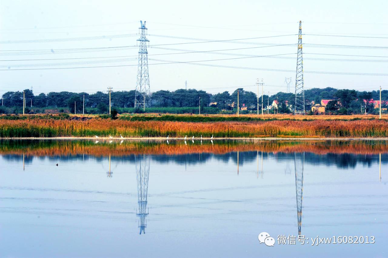 在永济伍姓湖拍到的