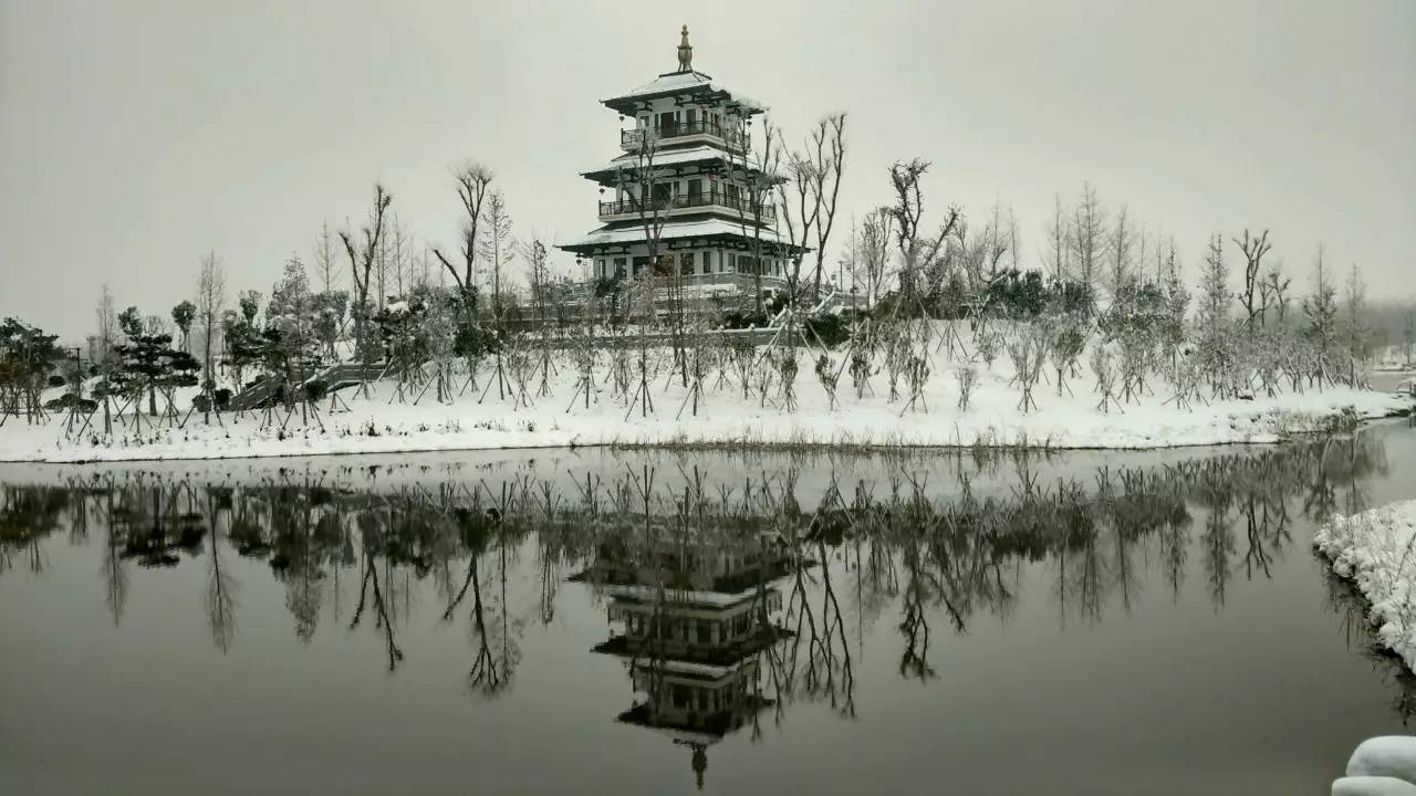 七号选手—桑康 灯红地绿迎春归,复圣冬景,怡情福