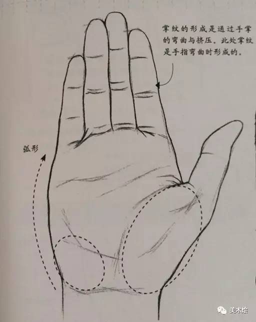 细化手心内部的手指结构,手指边缘线有起伏,手指的纹路在指关节处.