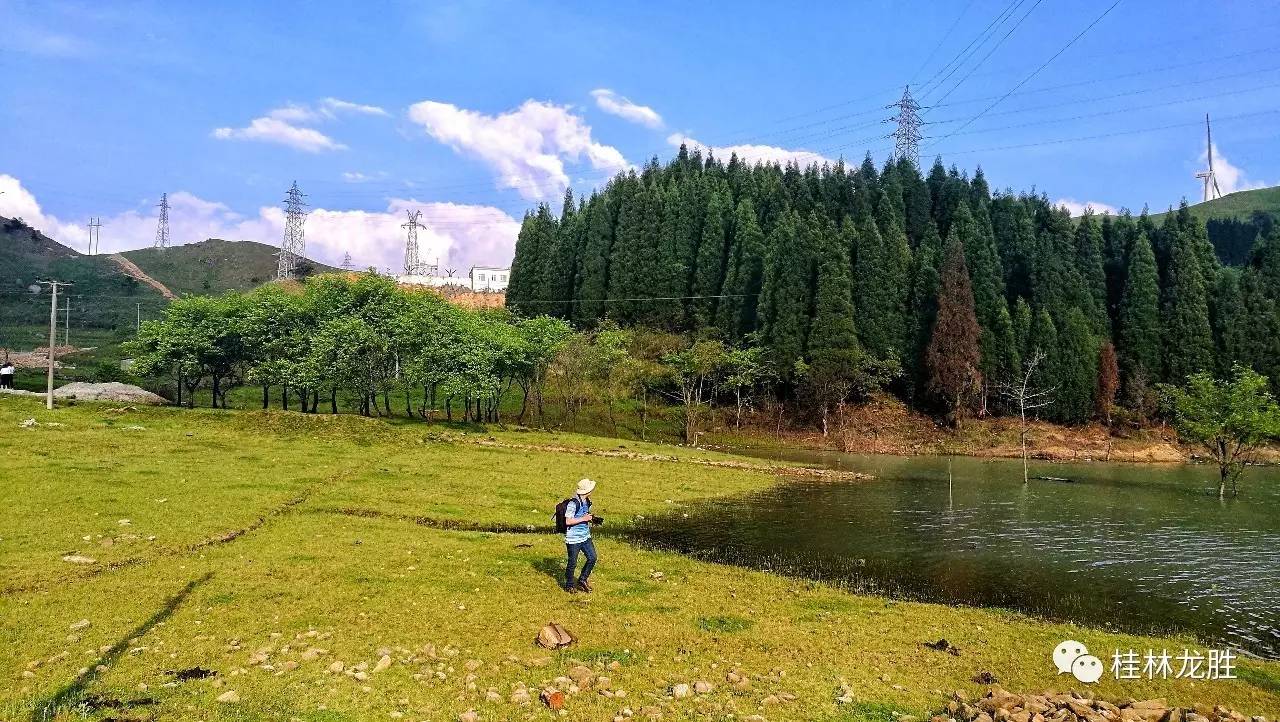 广西龙胜小南山:杜鹃花开遍地红