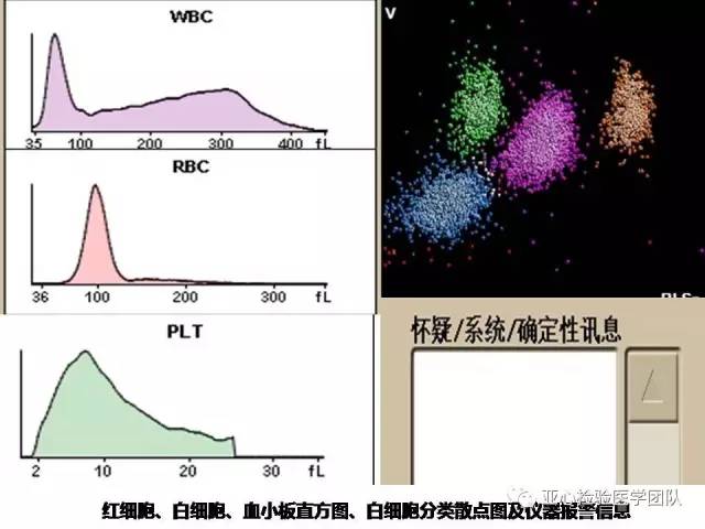 【临床】检验案例之血常规检测