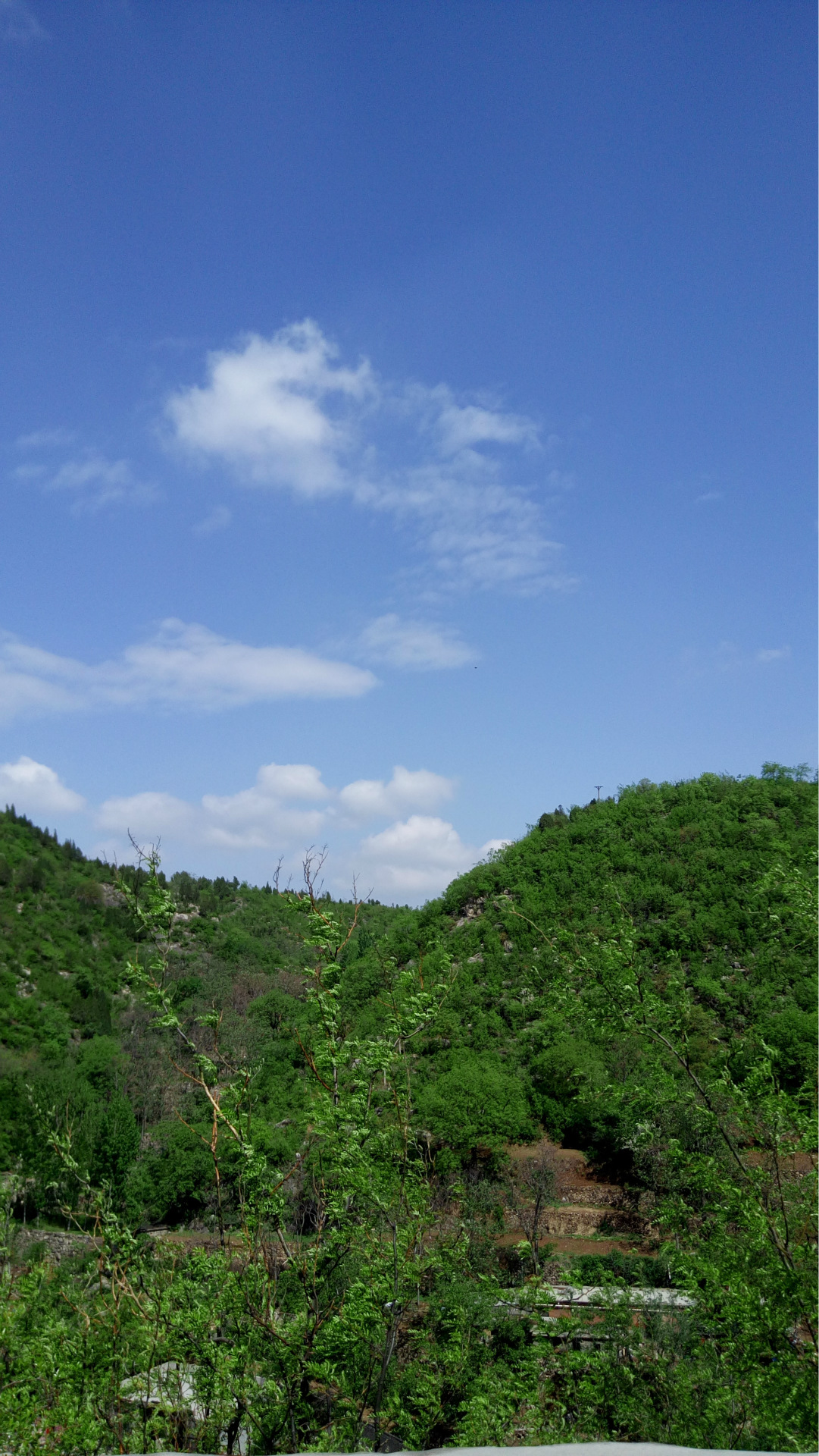 护栏姐:五一假日,这里有蓝天白云和青翠的大山