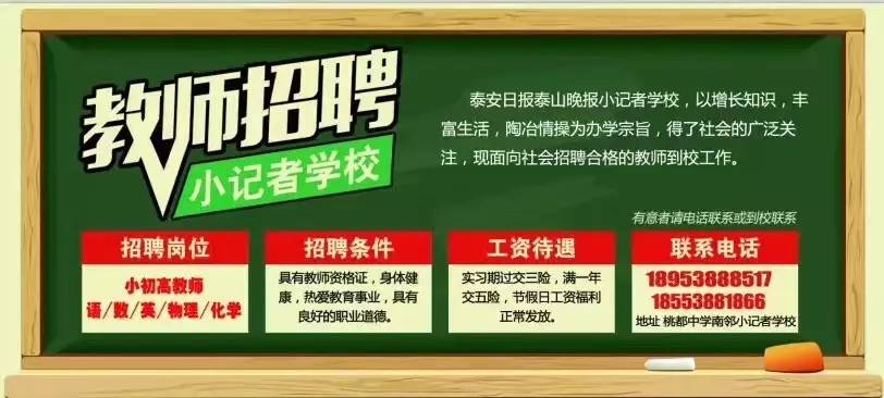 泰山区招聘_2021山东泰安新泰市中小学招聘教师219人 6月9日9 00开始报名(3)