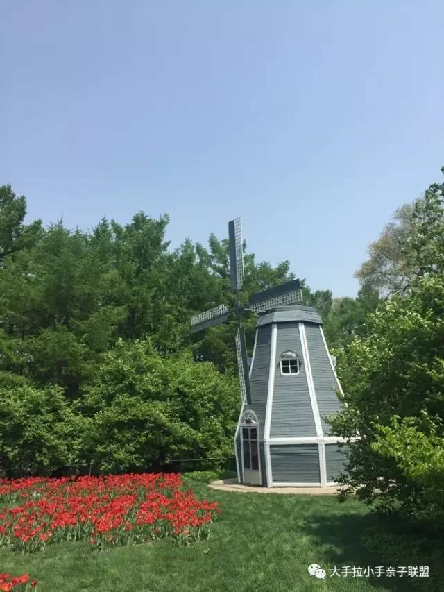 哈尔滨植物园郁金香观赏节一日游开始报名啦!