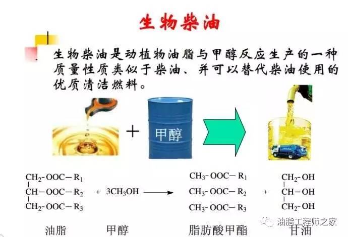 生物柴油工业进展介绍