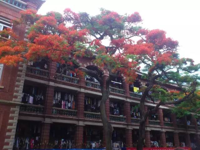 高校专题我在小岛上大学厦门大学