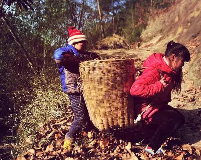 湘西农村人口_湘西自治州农村贫困人口饮水安全巩固