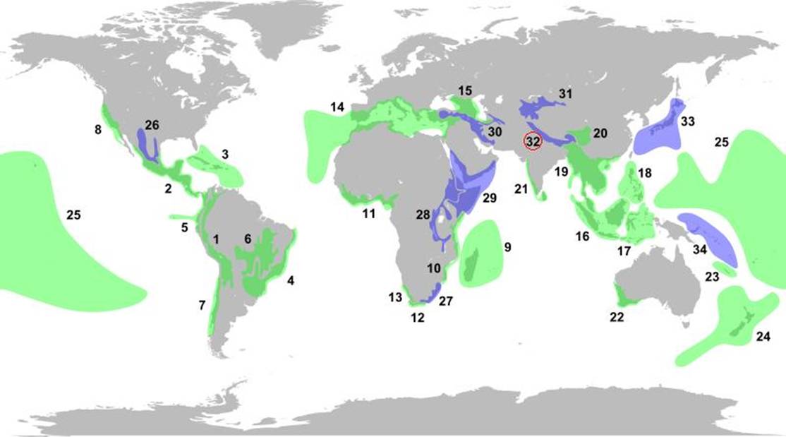 墨脱处在的32个生物多样性热点区域之一. 1.