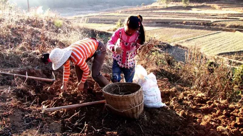 湘西农村人口_湘西自治州农村贫困人口饮水安全巩固