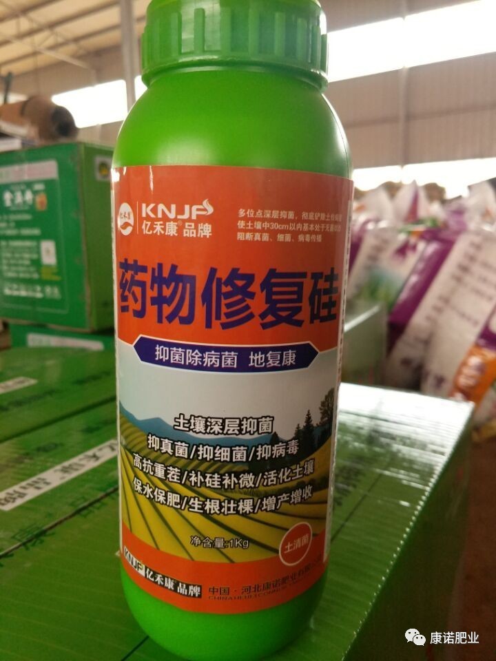 果树黄叶病的类型及防治措施!