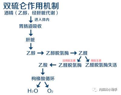 抗生素 饮酒=自杀(警惕双硫仑样反应)