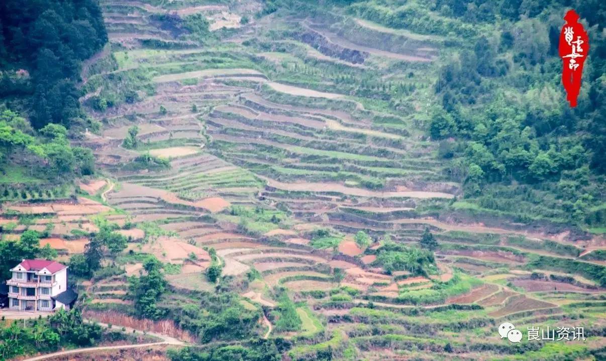 新宁"山嘎嘎里"走出的农村人,这天回家了!