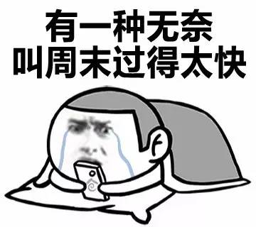 表情包丨有一种无奈叫周末过得太快!