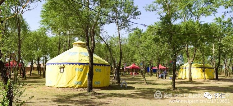 云州美景入画屏 怀仁县鹅毛湿地生态景区《凤凰家园》采风纪实(图文)