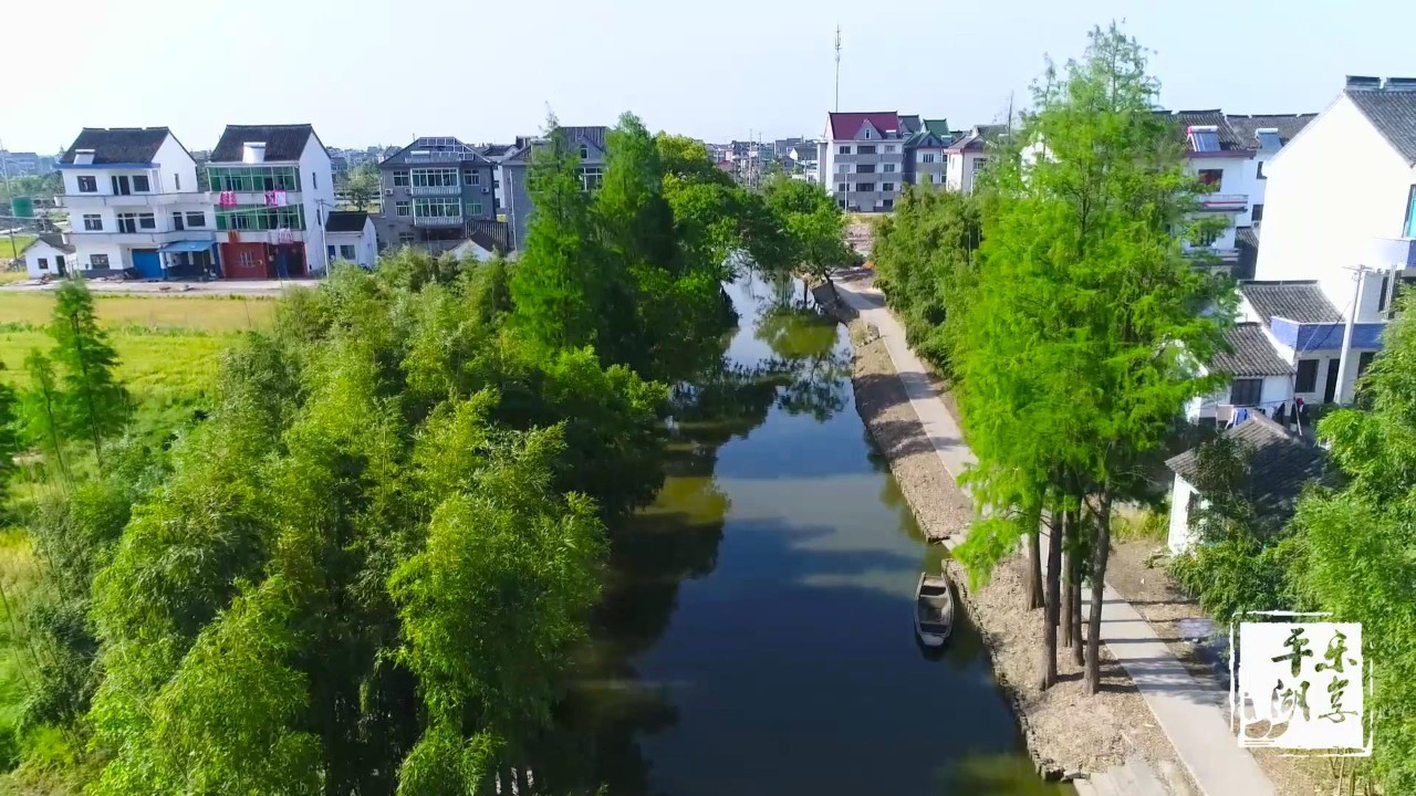 平湖好风景小溪潺潺绕村庄林埭镇的这个地方美呆啦