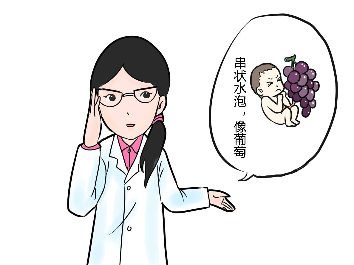 别人怀孕我怀葡萄