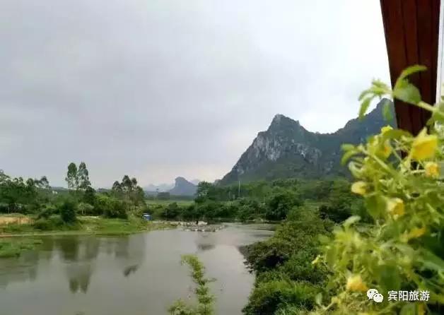 鹅公圩镇岸口村多少人口_钟山珊瑚镇金鹅村