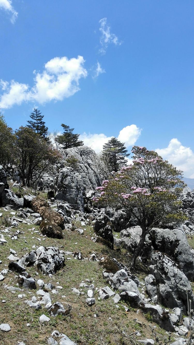 边走边看东川轿子雪山南岭风光