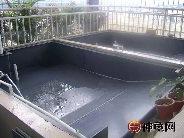 水泥,瓷砖,不锈钢,塑料,建龟池哪种建材好?