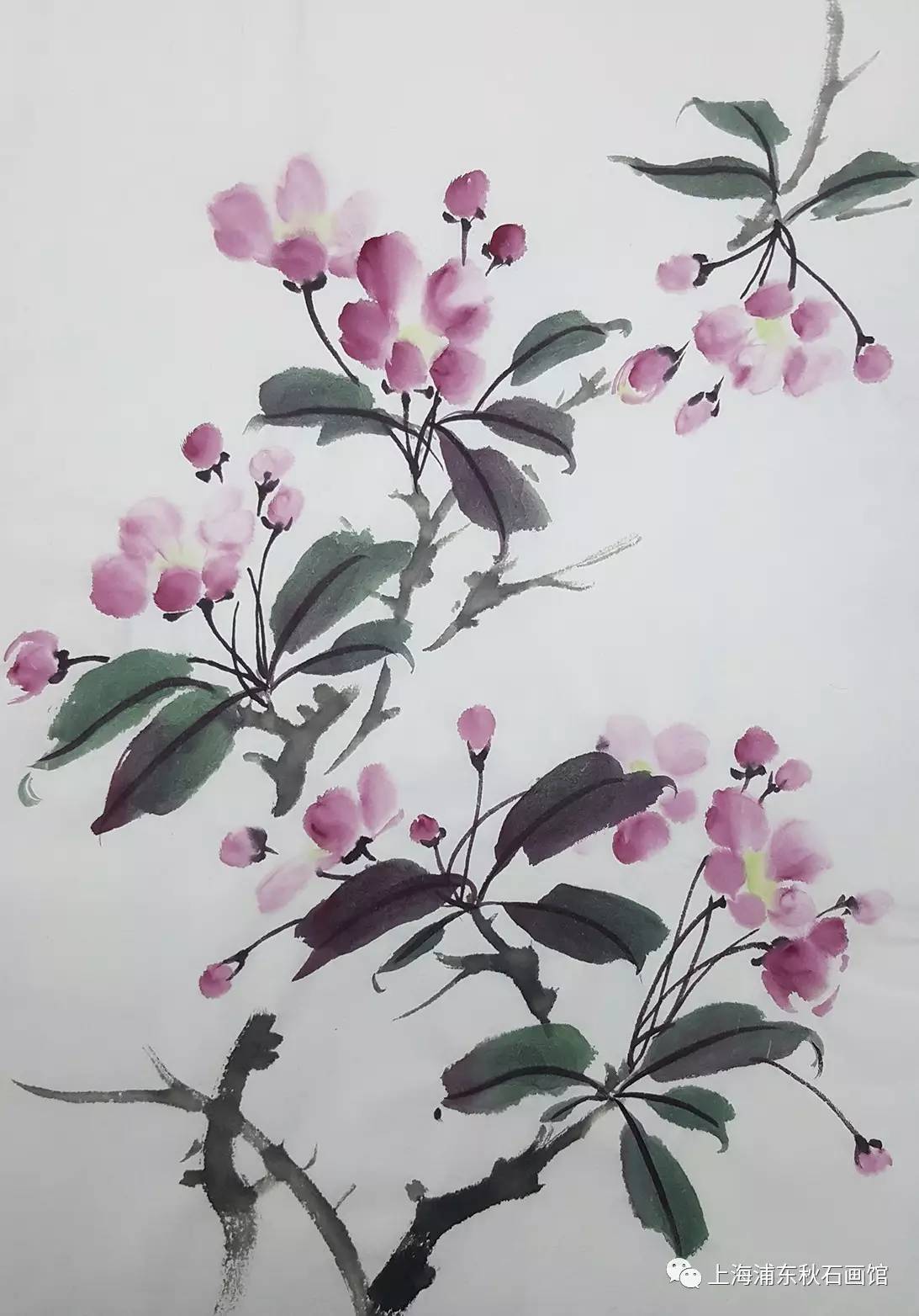 【传承交流】《椿去湫来 海棠花开》中国画小写意花鸟画基础技法公益