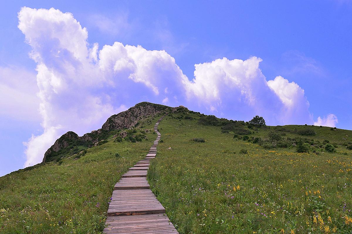 湾甸人口_人口普查图片(3)