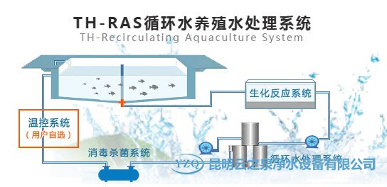 云南循环水处理设备-鱼池用循环水处理系统