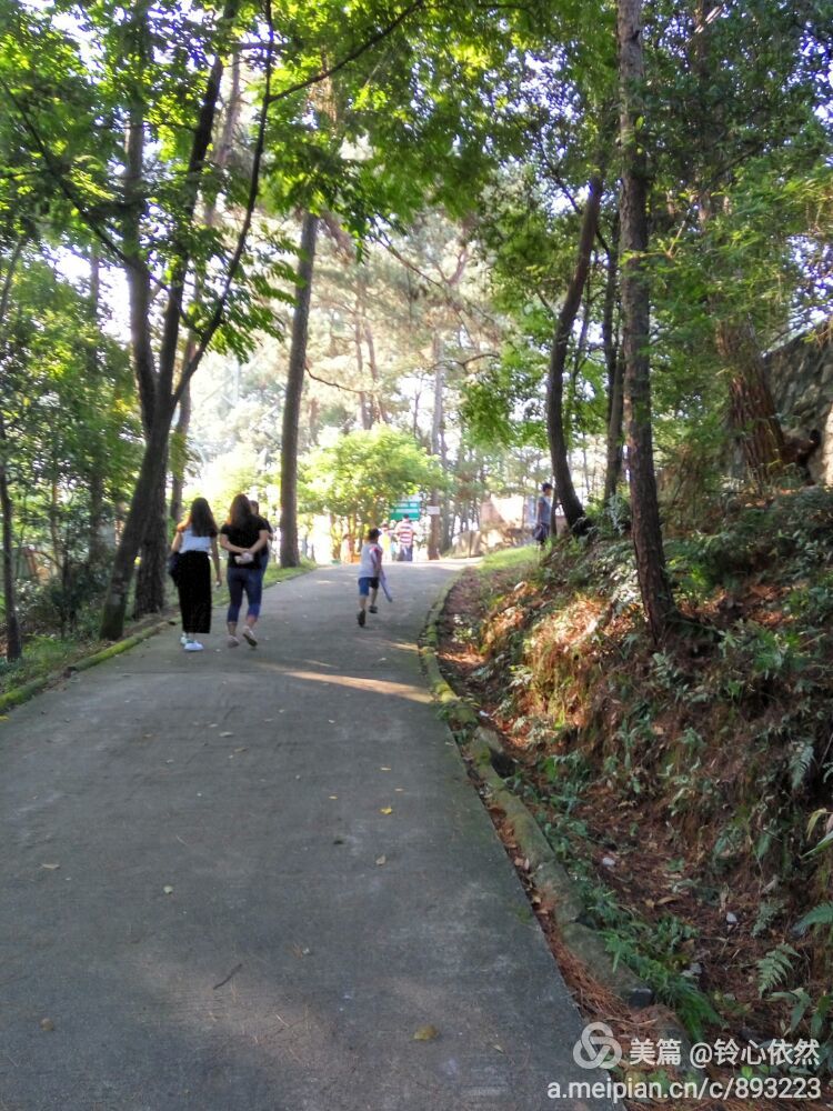 【原创】怀集美女作家笔下的塔山