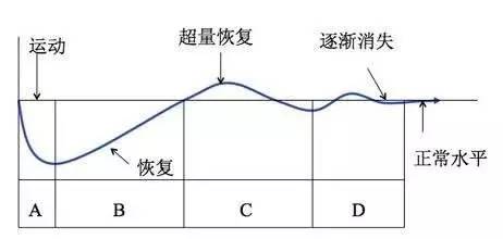 名词解释健康