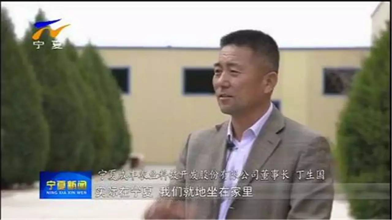 宁夏成丰农业科技开发股份有限公司董事长 丁生国