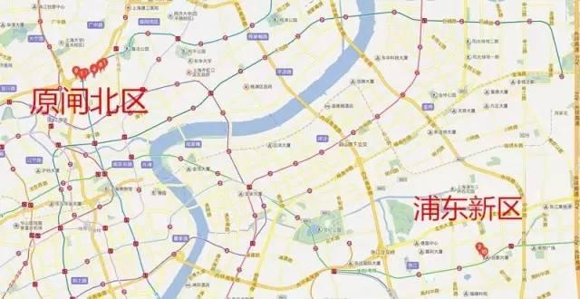上海 目前 人口_目前上海的银杏树