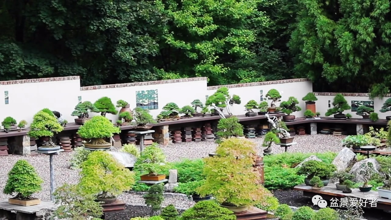 肯尼特私人盆景园,哪哪都是盆景