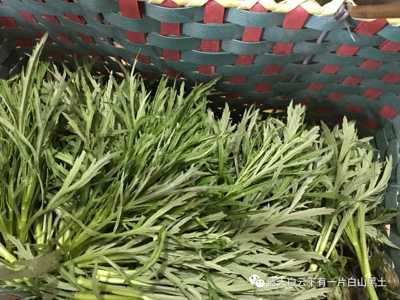 佛跳墙是什么菜系？辣子鸡是湘菜还是川菜？八大菜系你了解吗？|菜系|川菜|湘菜_新浪新闻