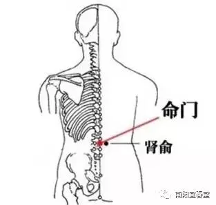 绘灸人口的意思_喝水都胖的人如何用艾灸调理 艾艾贴泽红总代教你使用方法(2)