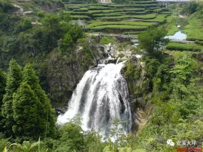 茶海明珠|生态旅游--安溪大坪