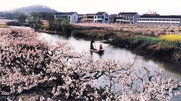 惠山区阳山镇  蜜桃小镇