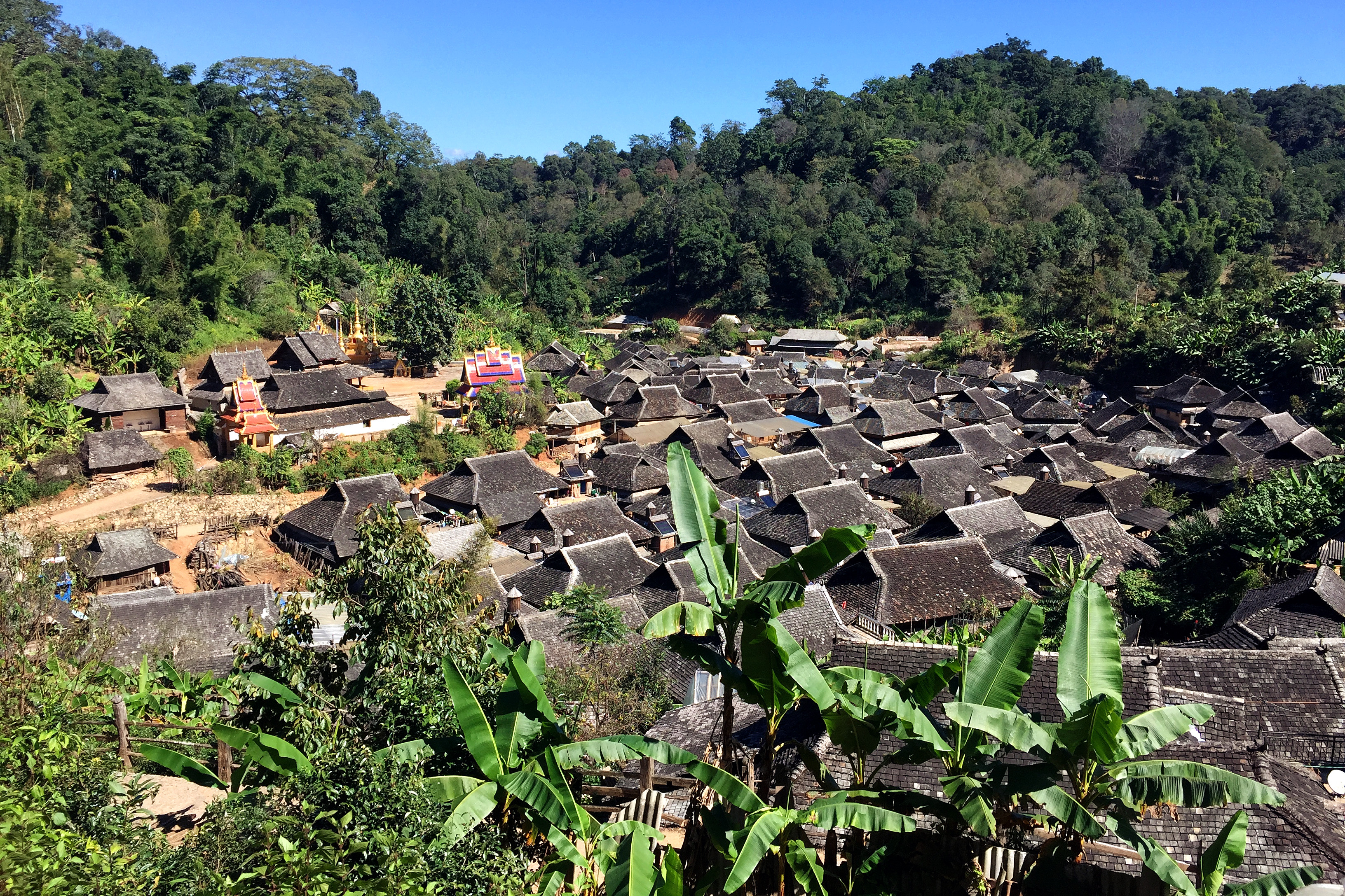 翁基古寨有一座寺庙和古柏,柏树高达20余米,根部径围有11米,树龄约两