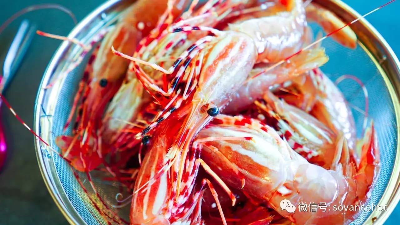 视频五月快来吃最软萌甜的斑点虾一大波斑点虾活动向你袭来
