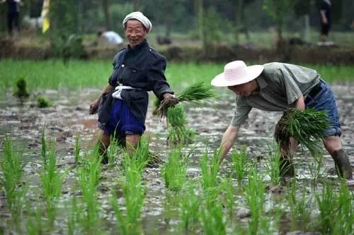 合浦各镇人口数量_广西合浦地图各镇全图(3)