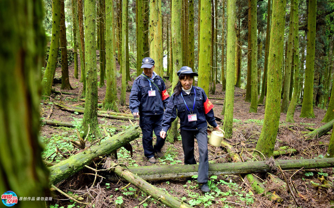 在湖南郴州市苏仙区五盖山国有林场黄金窝工区,有一对夫妻护林员:邓