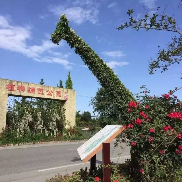 植物编艺公园 最后一站,田园牧歌巴士会到达一座像童话小镇一样的