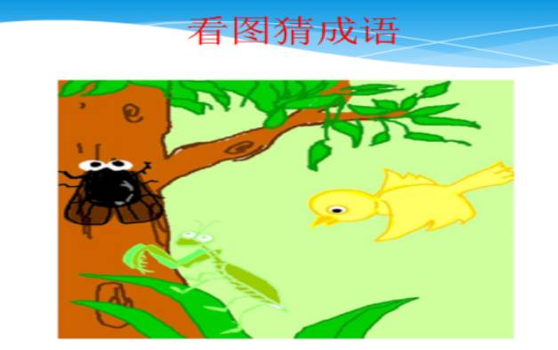 动物在水里猜成语_水里的动物(3)