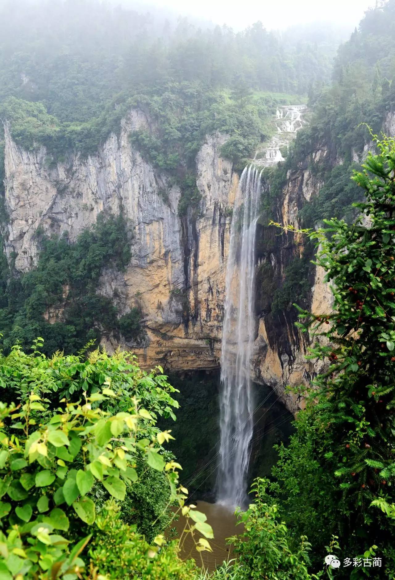 【方志四川•旅游】古蔺黄荆老林：休养度假避暑胜地_澎湃号·政务_澎湃新闻-The Paper