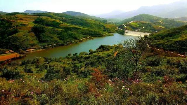 旅游 正文  春山溪谷 当然,洛宁之美不止于此.