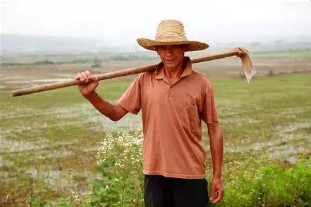 我有个同行做了个外地在这里包田的客户,大约有1000多亩田,第一年还